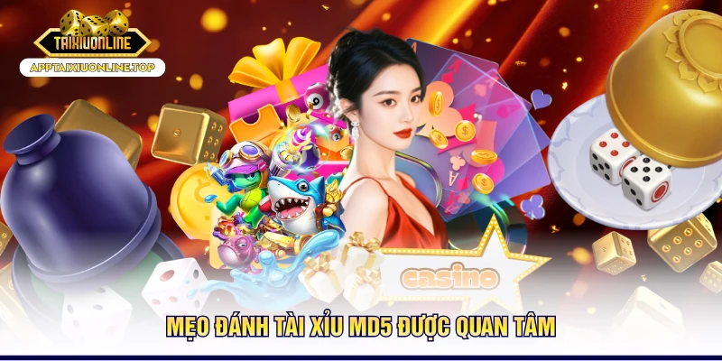 Mẹo đánh tài xỉu MD5 được quan tâm